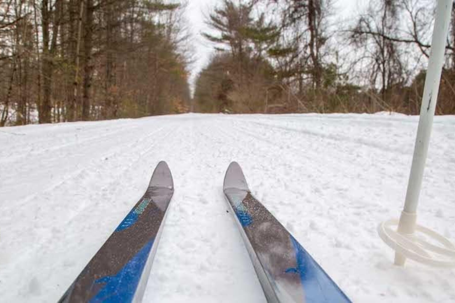 New Hampshire's Northern Rail Trail | Courtesy New Hampshire State Parks