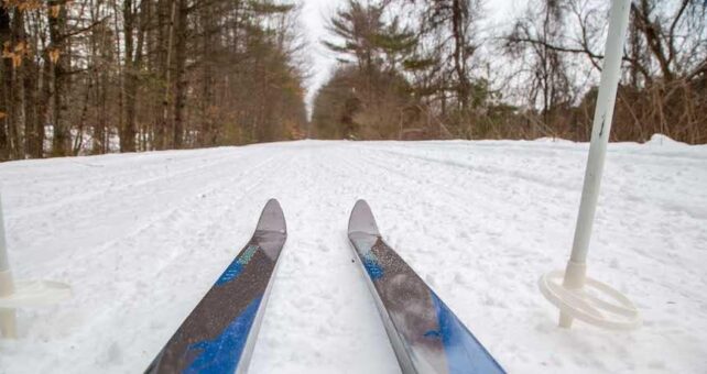 New Hampshire's Northern Rail Trail | Courtesy New Hampshire State Parks