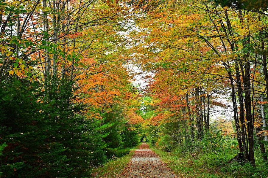 New Hampshire's Northern Rail Trail | Photo by TrailLink user sc302