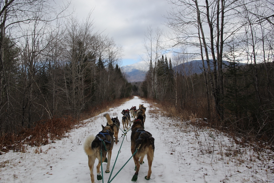 New Hampshire's Presidential Rangle Rail Trail | Photo by Karen Beck, courtesy of Muddy Paw Sled Dog Kennel
