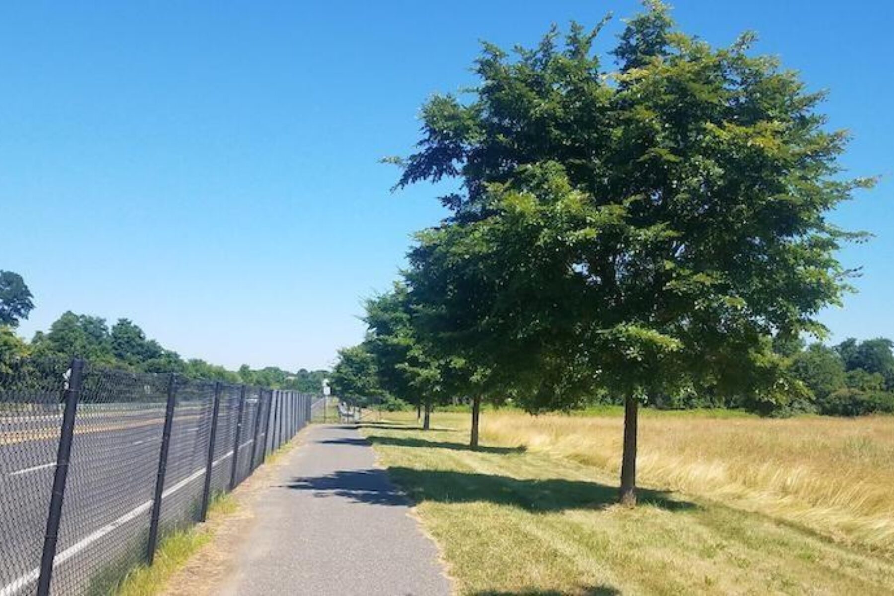 New Jersey's Henry Hudson Trail | Photo by Avery Harmon