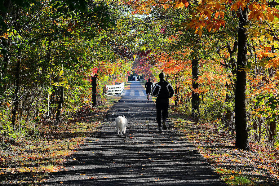 New Jersey's Henry Hudson Trail | Photo by TrailLink user aji8ful