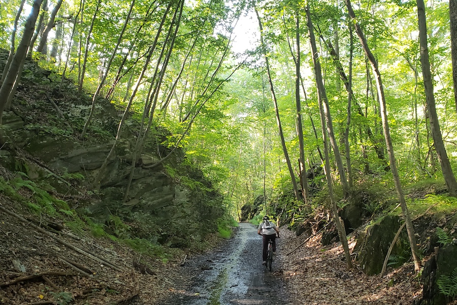 New Jersey's Sussex Branch Trail | Photo by Eli Griffen