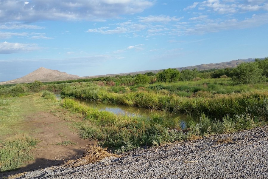 New Mexico's La Llorona Multi-Use Path | Photo by TrailLink user tdburgin