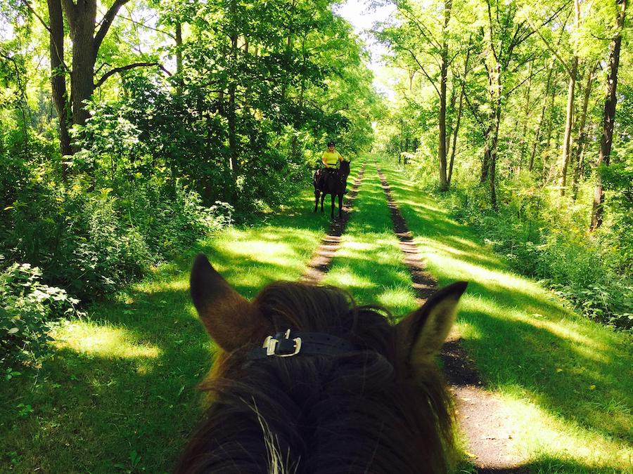 New York's Genesee Valley Greenway | Photo by TrailLink user toltstar