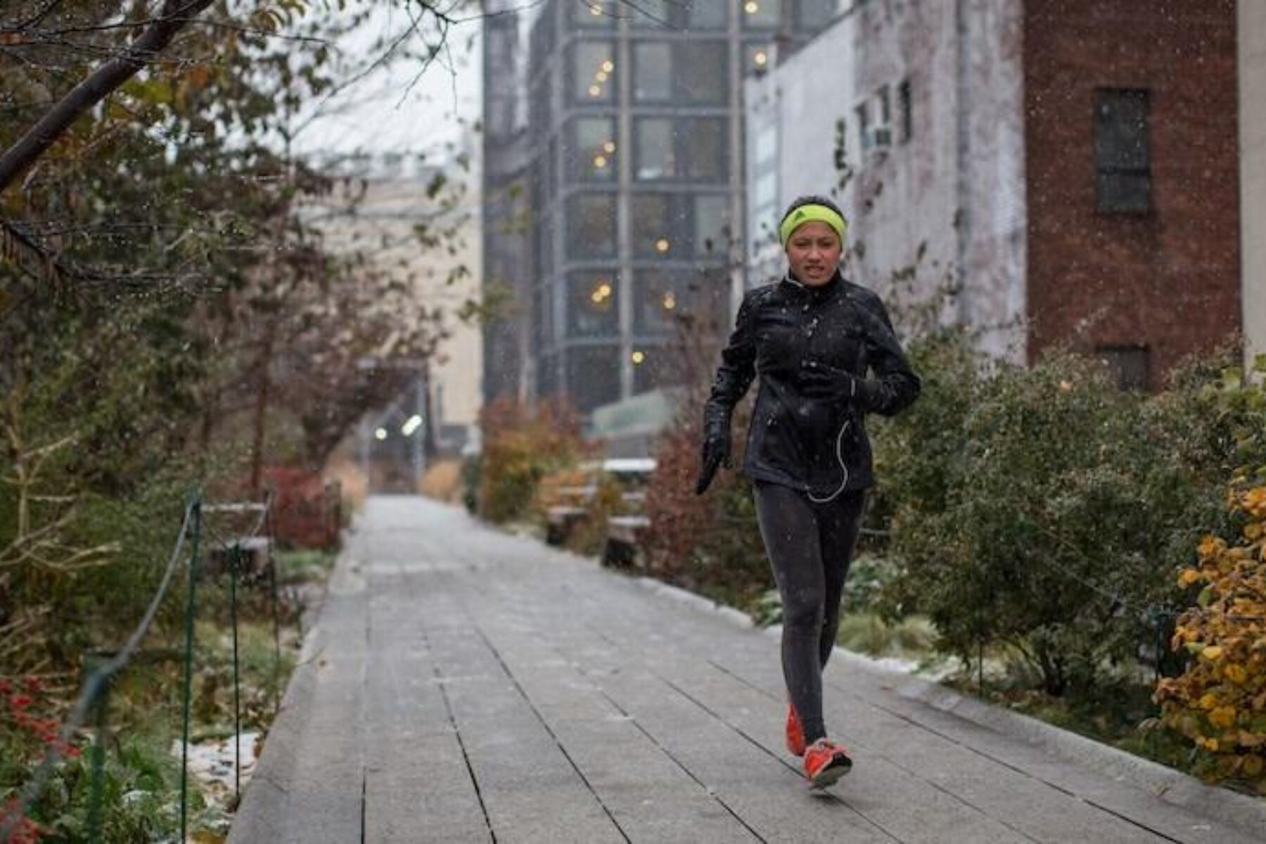 New York's Highline | Photo by Adrian Cabrero