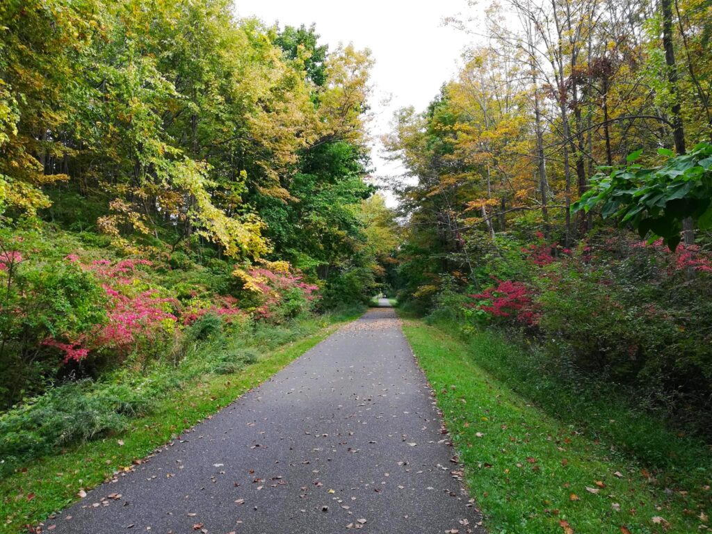 New York's Putnam Trailway | Photo by TrailLink user abcwangusa