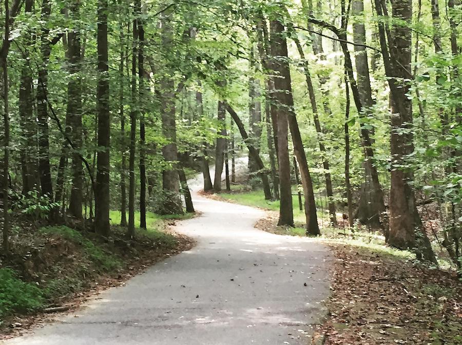 North Carolina's Atlantic & Yadkin Greenway | Photo by TrailLink user susiepop66