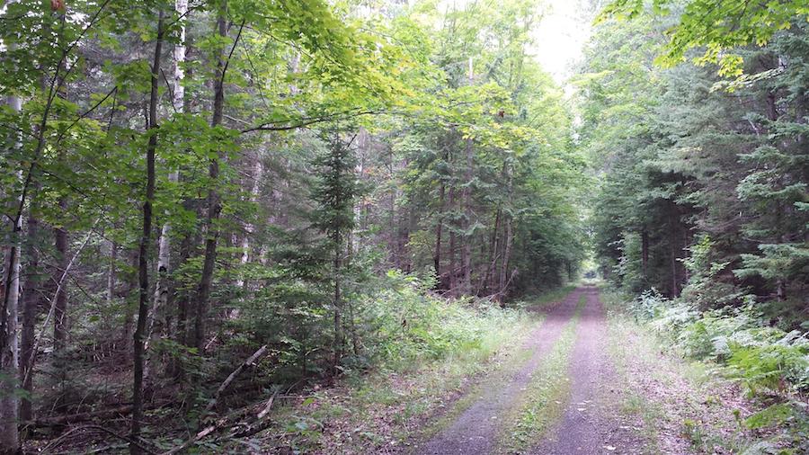 North Western State Trail | Photo by TrailLink user deckheck