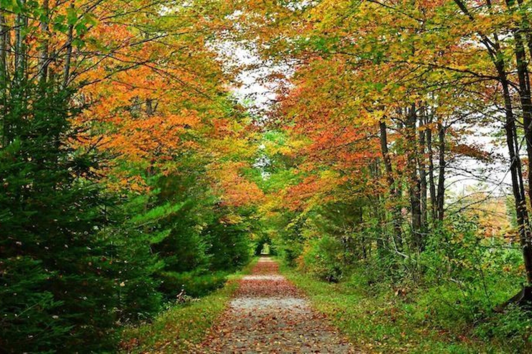 Northern Rail Trail | Photo by TrailLink user sc302