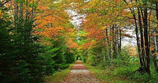 Northern Rail Trail | Photo by TrailLink user sc302