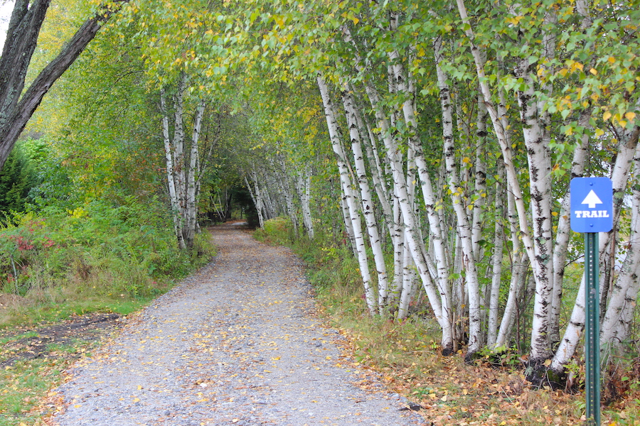 Norway Rail Trail | Photo by Dennis Lajoie