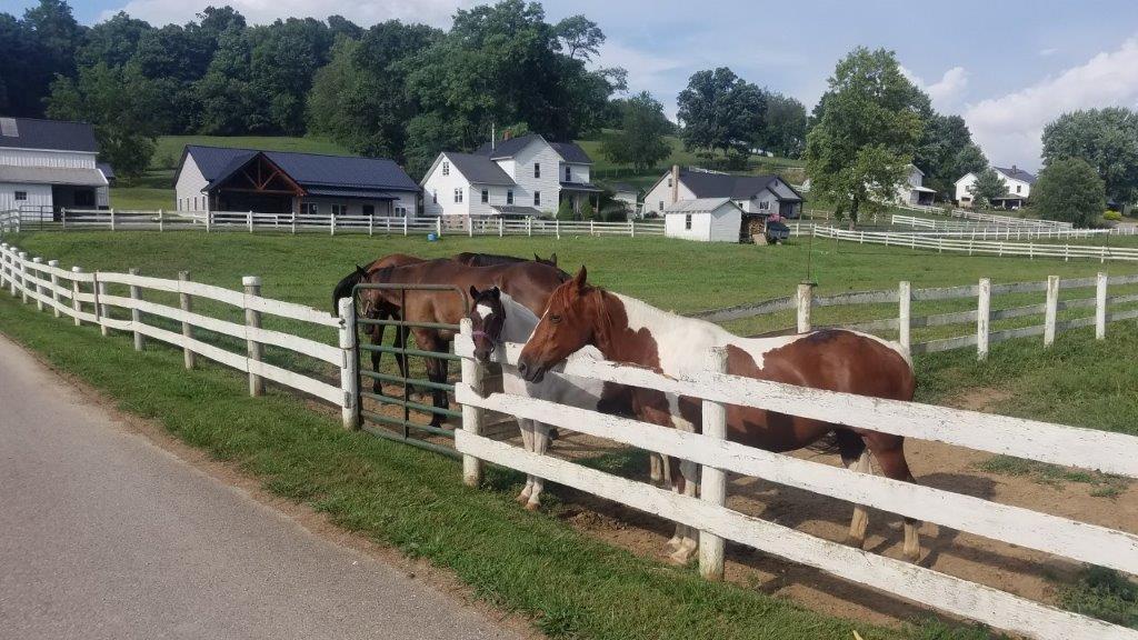 Ohio's Amish Country near the Holmes County Trail | Photo courtesy Shevonne and Pat Travers