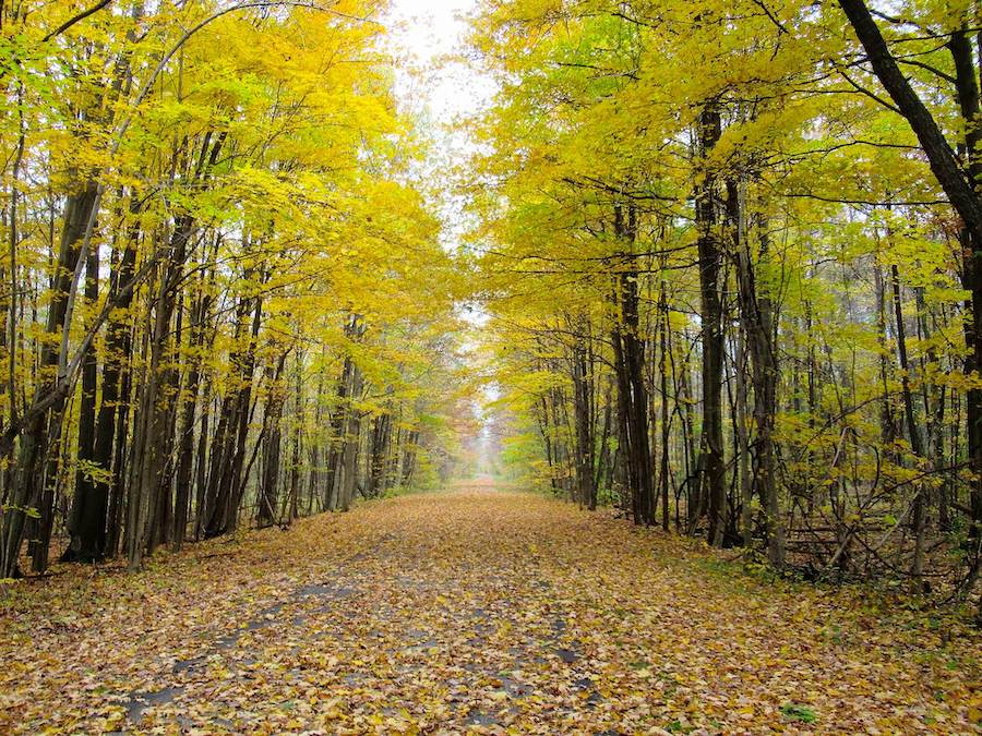 Ohio's Western Reserve Greenway | Photo by TrailLink user vicki1960