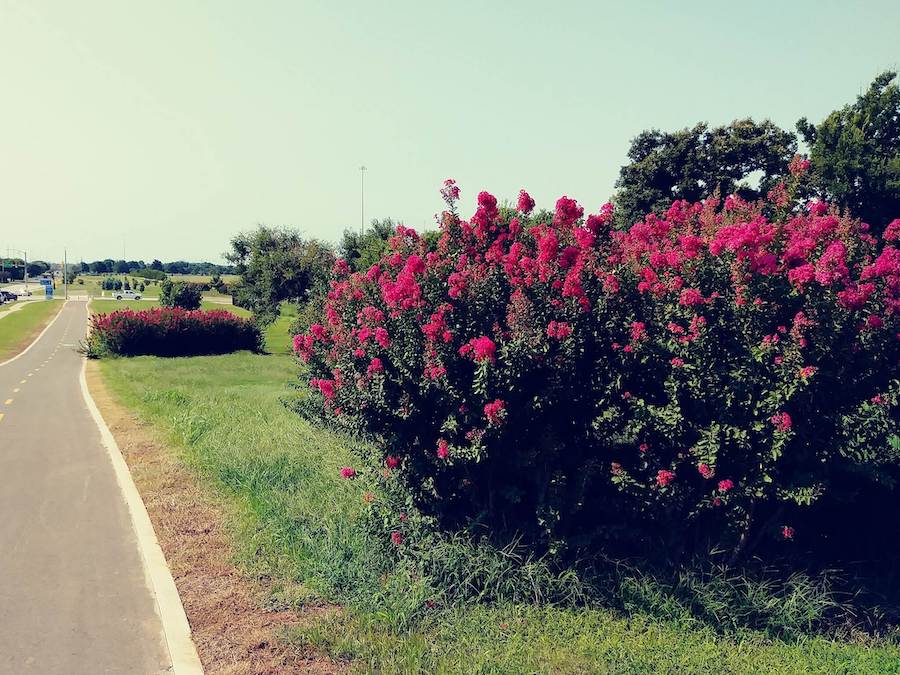 Oklahoma's Will Rogers Trail | Photo by TrailLink user jameslrhodes