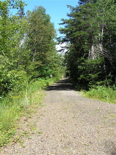Old Narrow Gauge Volunteer Trail in Maine | Photo courtesy Rails-to-Trails Conservancy