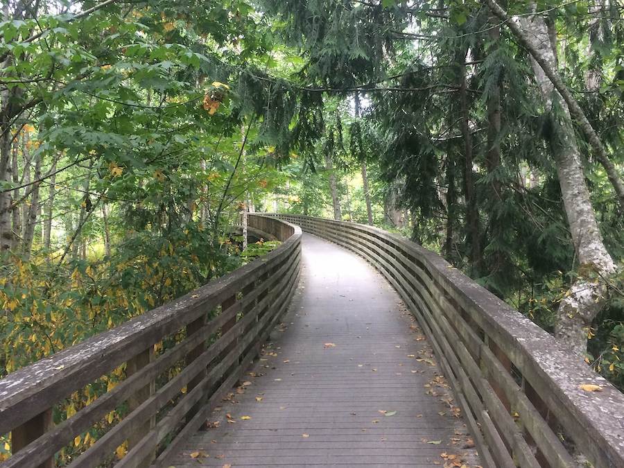 Olympic Discovery Trail in Washington State | Photo by TrailLink user frankterraferma