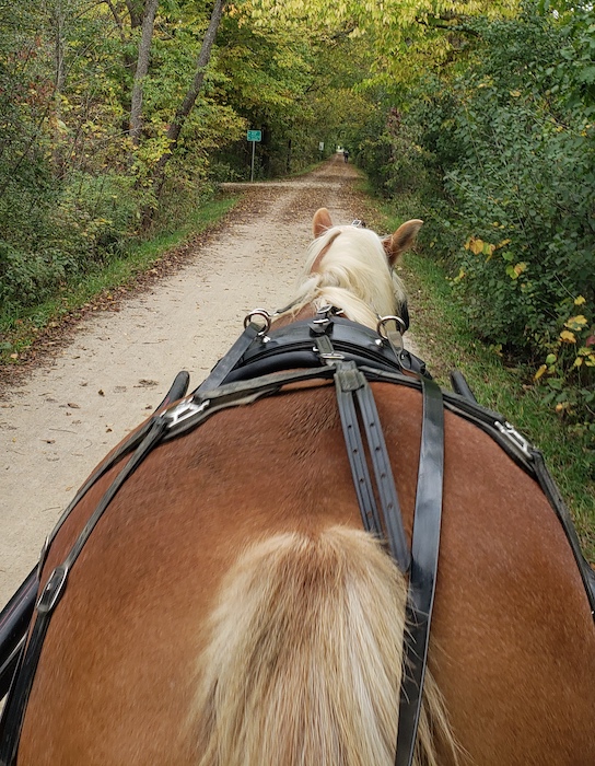 On the Great Western Trail with Hope | Photo courtesy Megan Gray