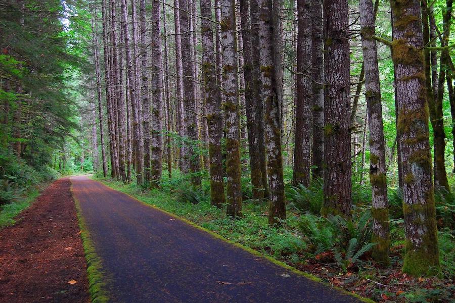 Oregon's Banks Vernonia State Trail | Photo by TrailLink user dabiker