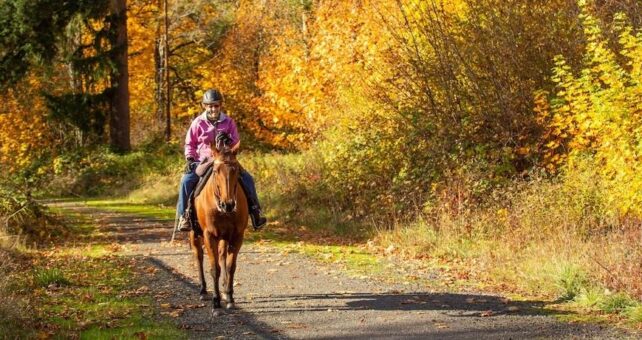 Oregon's Crown Zellerbach Trail | Photo by Dale Latham