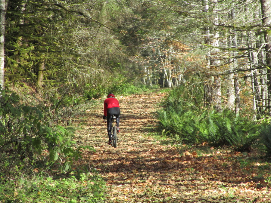 Oregon's Crown Zellerbach Trail | Photo courtesy Columbia Economic Team