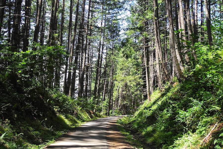 Oregon's Row River Trail | Photo by TrailLink user ellafan