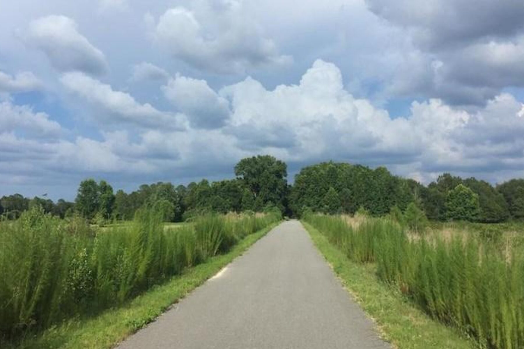 Palatka-to-Lake Butler State Trail | Photo by Britte Lowther