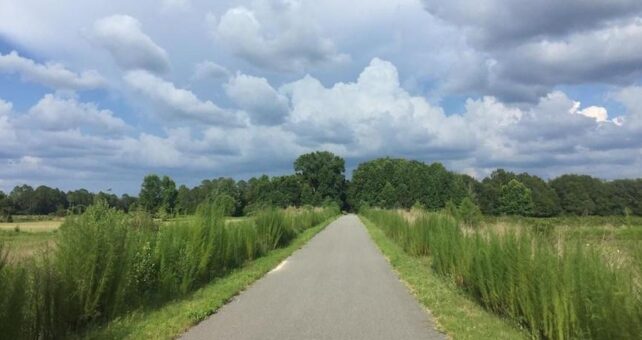 Palatka-to-Lake Butler State Trail | Photo by Britte Lowther