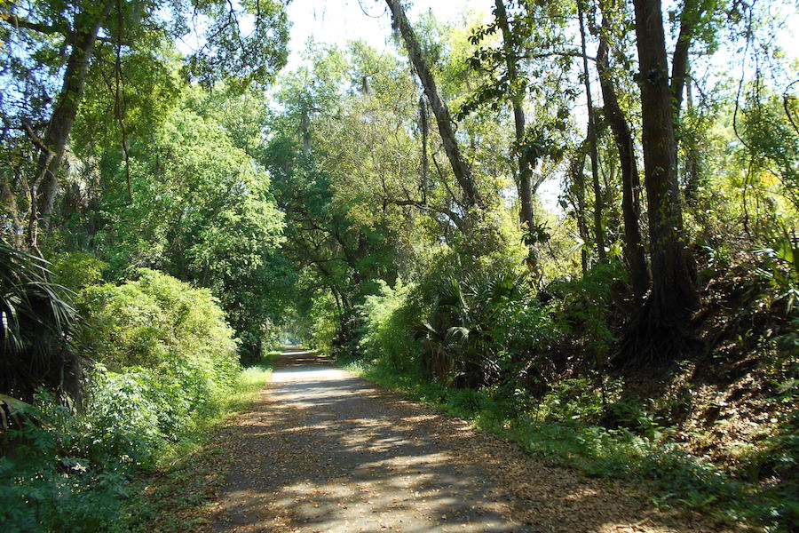 Palatka-to-Lake-Butler State Trail in Florahome | Photo by John Keatley, courtesy Florida Hikes