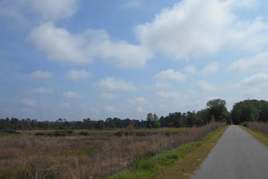 Palatka-to-Lake-Butler State Trail in Putnam Hall | Photo by John Keatley, courtesy Florida Hikes