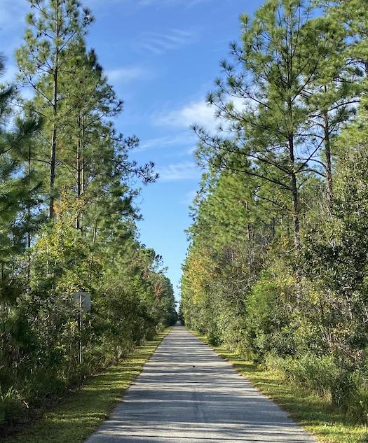 Palatka-to-St. Augustine State Trail | Photo by TrailLink user claywebster