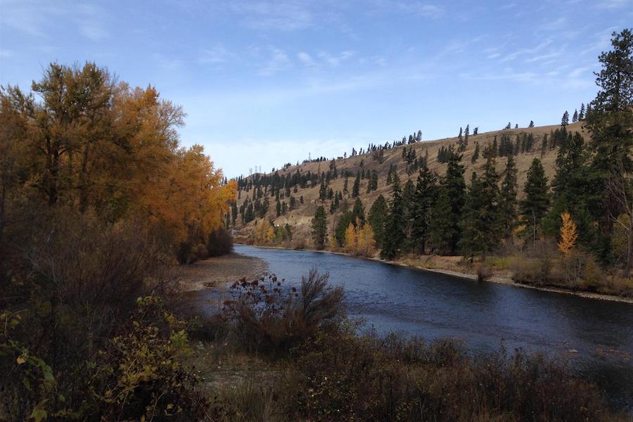 Palouse to Cascades State Park Trail in Washington | Photo by TrailLink user scfroehlich