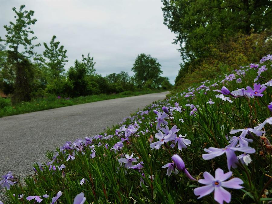 Pennsy Greenway near Centennial Park in Munster, Indiana | Photo by TrailLink user tommyspan