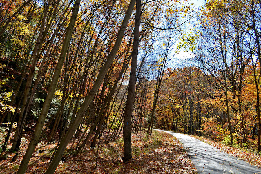 Pennsylvania's Allegheny River Trail | Photo by Tom Bilcze