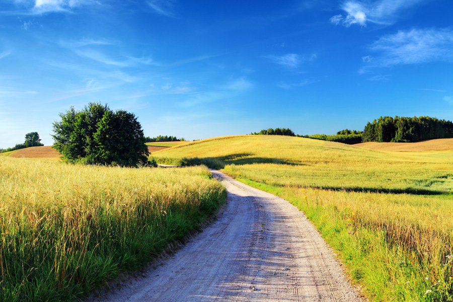 Sunset Rolling Landscape - Photo courtesy Getty Images