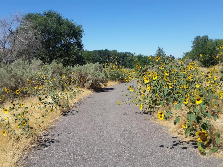 Portneuf Greenway | Photo by TrailLink user adventureskating