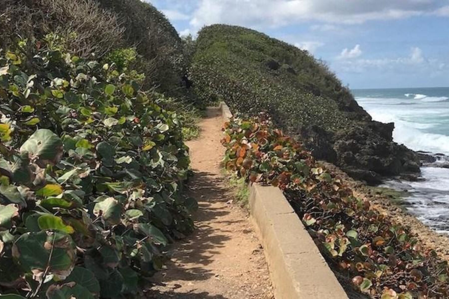 Puerto Rico's Tunel de Guajataca | Photo by Jorge Borrelli