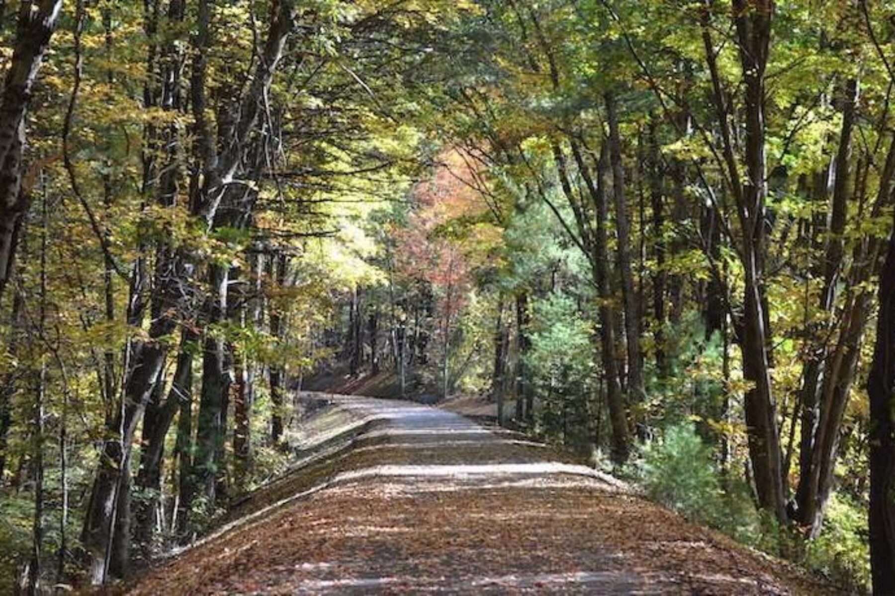 Recently completed Cohas section of the Londonderry Rail Trail | Courtesy Londonderry Trailways