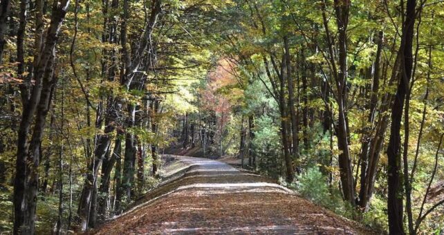 Recently completed Cohas section of the Londonderry Rail Trail | Courtesy Londonderry Trailways