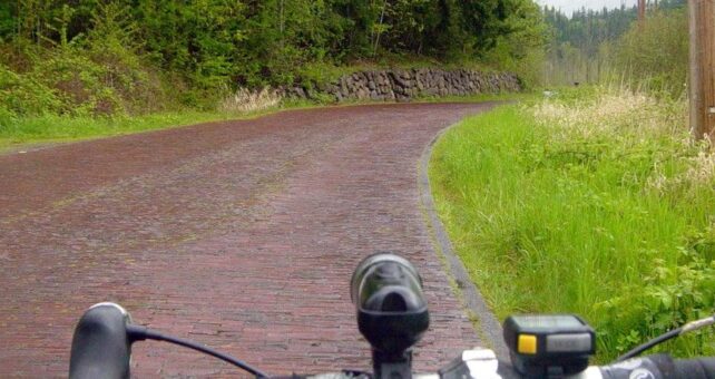 Red Brick Road | Photo by Gene Bisbee