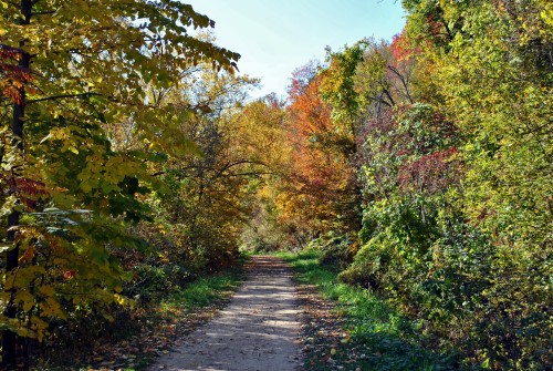Red Cedar State Trail, Wisconsin | Photo courtesy Aaron Carlson | CC by 2.0