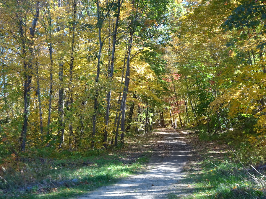 Rhode Island's Stillwater Scenic Walkway | Photo by Marjorie Turner Hollman