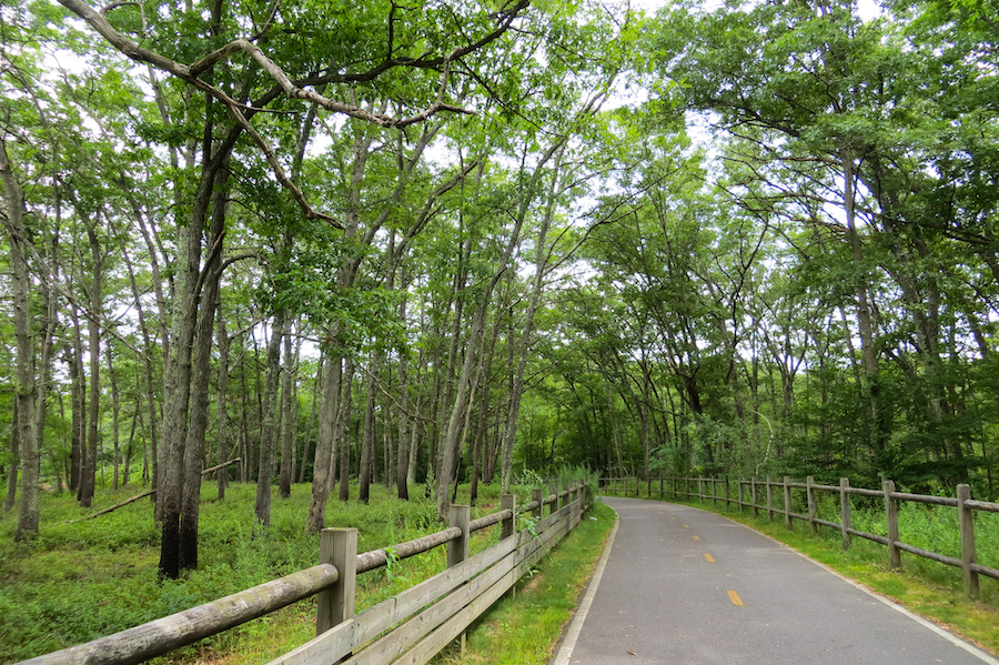 Rhode Island's Ten Mile River Greenway | Photo by Laura Stark