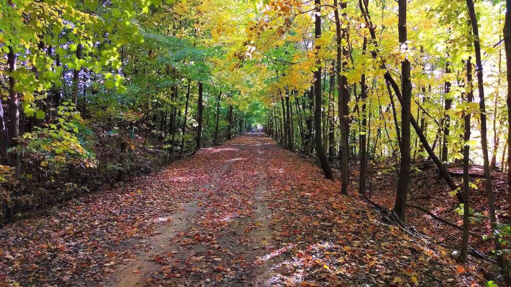 Rock Island Trail | Photo by TrailLink user jroal