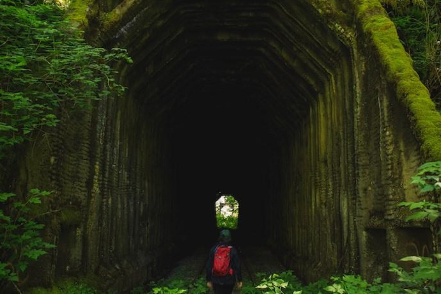 Salmonberry Trail | Photo by Connor Charles Photography