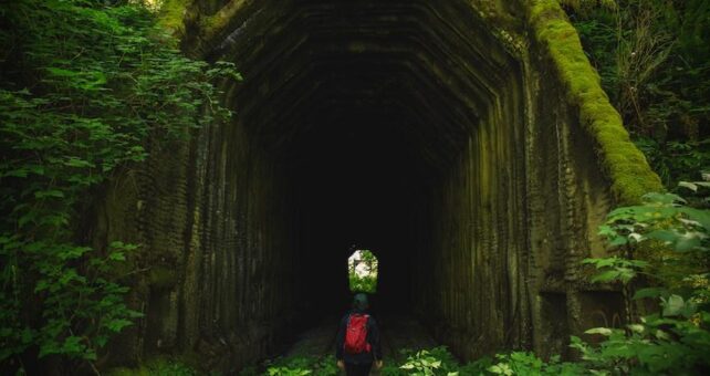 Salmonberry Trail | Photo by Connor Charles Photography