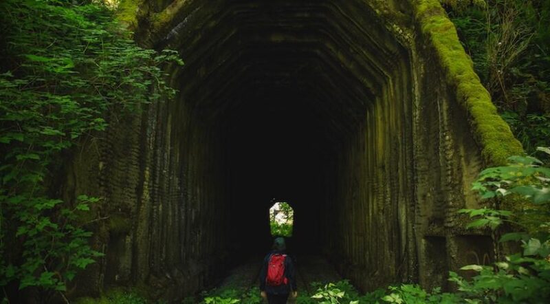 Salmonberry Trail | Photo by Connor Charles Photography