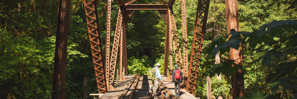 Salmonberry Trail corridor in Oregon | Photo by Connor Charles Photography