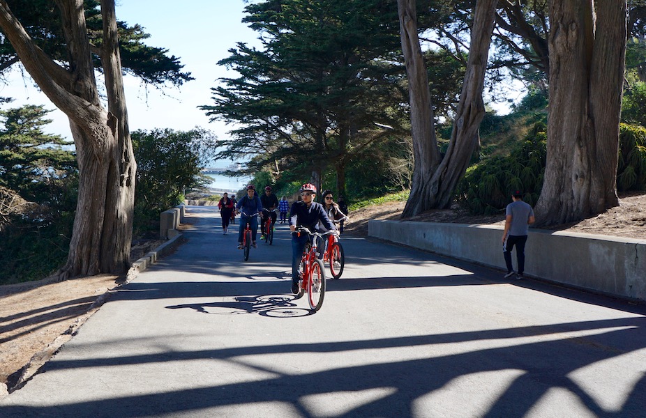 San Francisco Bay Trail | Photo by Cindy Barks