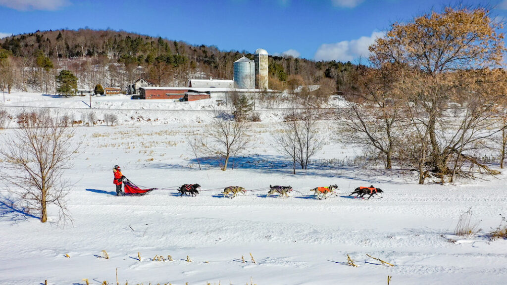 Sled dogs along the Lamoille Valley Rail Trail in Wolcott, Vermont | Photo courtesy Vermont Agency of Transportation